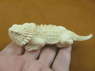 Liz - 3 Horned Lizard Horny Toad Shed Antler Figurine Bali Detail Carving Lizards