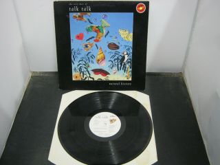 Vinyl Record Album The Very Best Of Talk Talk Natural History (105) 33