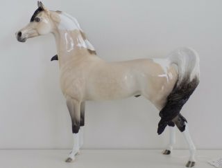 Peter Stone Horse - Dah 2012 - Windswept Buckskin Paint Tobiano Arabian