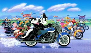 Warner Brothers Limited Edition The Ride Harley Davidson Pepe Le Pew Framed