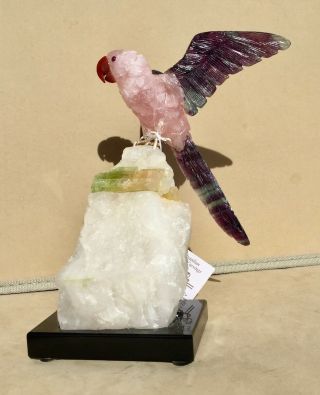 Rose Quartz And Fluorite Macaw On Tourmaline In Quartz 7 1/2  - Peter Muller