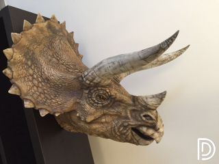 Dino Dream 1/5 Triceratops Bust