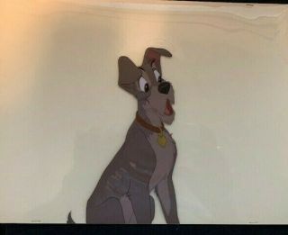 Disney Lady & The Tramp Celluloid Drawing,  The Tramp Only Vhtg