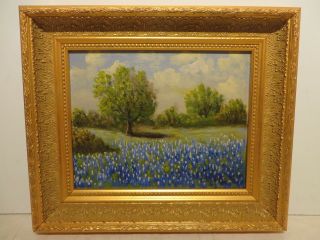 8x10 Org.  1980 Oil Painting On Board With No Signature Of " Texas Bluebonnets "