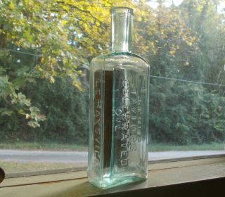 Taylors Celebrated Oil Le Raysville,  Pa Rare 1870 Emb & Label Medicine Bottle