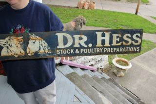 Vintage 1940 ' s Dr Hess Feed Pig Cow Chicken Sheep Horse Farm 54 
