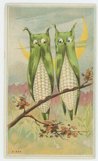 Corn Owl Vegetable Card Advance Thresher Co Battle Creek Mi 1880 