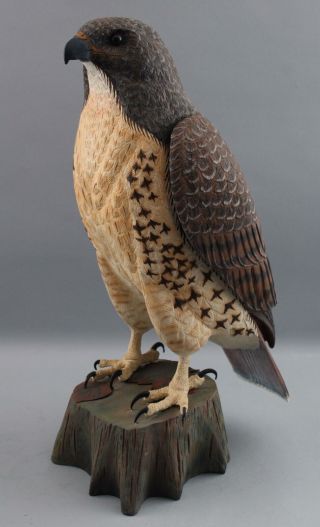 Life - Sized Hand Carved Wood Red Tailed Hawk Bird Of Prey,  Ed Miller