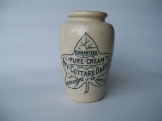 Very Rare - Ivy Cottage Dairy - Muckamore Co Antrim Ireland Cream Pot / Crock