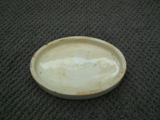 Oval tooth paste pot lid 2