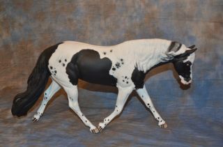 Custom Resin Horse " Arcane " Tradional Size Not Breyer L@@k
