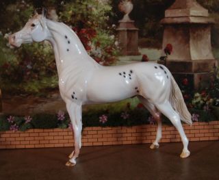 Peter Stone Model Horse Arabian Appaloosa