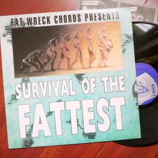 V.  A.  " Survival Of The Fattest " Lp Vinyl Fat Wreck Chords No Use For A Name