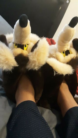 Looney Tunes Wile E Coyote Fuzzy Slippers WB Studio Store Exclusive vintage 2