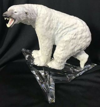 Lord Of The Ice Polar Bear - Franklin - National Wilderlife Federation