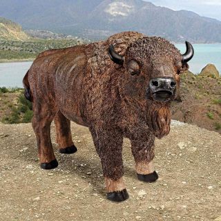 American Bison Buffalo Statue American West Great Plains Wildlife 2