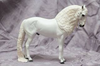 Peter Stone Horse Dah 2019 White Long Mane/tail Andalusian