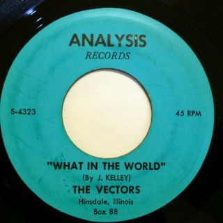 Vectors Rare Garage 45 What In The World It 
