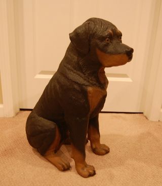 Life Size Rottweiler Dog Statue,  Resin Statue,  24 " Tall,  11 " Wide,  And 18 " Deep