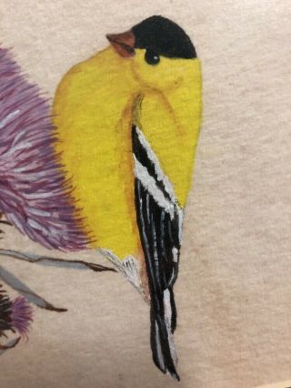 Goldfinch And Pitcher’s Thistle Watercolor Canvas Art Bird Animal Wildlife Signe