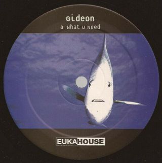 Gideon - What U Need / Lonliness,  12 ",  (vinyl)