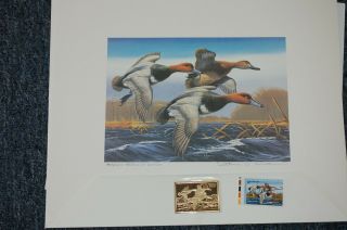 Bundle of 4 Gold Medallion Federal Duck Stamp Prints 1987/1988 - 1990/1991 3