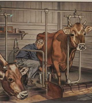 Watercolor Painting Milking Parlor Dairy Farmer & Jersey Cows HOWARD 10