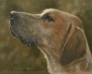 Foxhound Dog Portrait Oil Painting By Master Artist John Silver Ba
