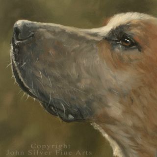 FOXHOUND DOG PORTRAIT OIL PAINTING by Master Artist JOHN SILVER BA 2