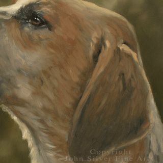 FOXHOUND DOG PORTRAIT OIL PAINTING by Master Artist JOHN SILVER BA 3