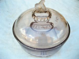 Sun Colored 2 Pc.  Glass Fly Trap W/cover Embossed " Fly Trap Pat.  " 1890 - 1910