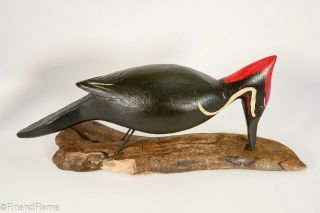 Jim Slack Magnificent Pileated Woodpecker Signed By Artist Gh399