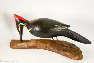 Jim Slack Magnificent Pileated Woodpecker Signed by Artist GH399 2