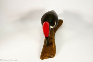 Jim Slack Magnificent Pileated Woodpecker Signed by Artist GH399 3