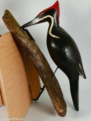 Jim Slack Magnificent Pileated Woodpecker Signed by Artist GH399 5