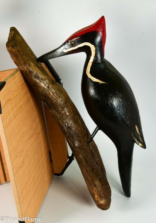 Jim Slack Magnificent Pileated Woodpecker Signed by Artist GH399 6