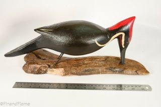 Jim Slack Magnificent Pileated Woodpecker Signed by Artist GH399 7