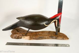 Jim Slack Magnificent Pileated Woodpecker Signed by Artist GH399 8