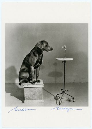 William Wegman Signed Printed Postcard Dog Looking At Dog Sculpture & Drawings