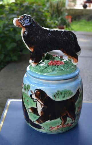 Bernese Mountain Dog.  Handsculpted Ceramic Cookie Jar.  Ooak.  Look