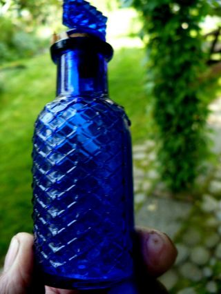 Cobalt Blue Quilted Poison With Poison Stopper 3 3/4