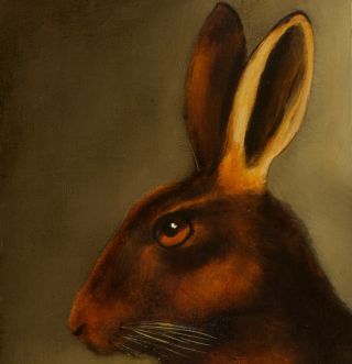 Hare Portrait : Oil Painting : Wildlife Rabbit Art By David Andrews