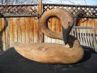 Wood Swan Decoy Seashore Art