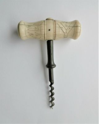 Xx Rare Antique 19 Th Cen - Scrimshaw Technique Decorated,  T - Corkscrew
