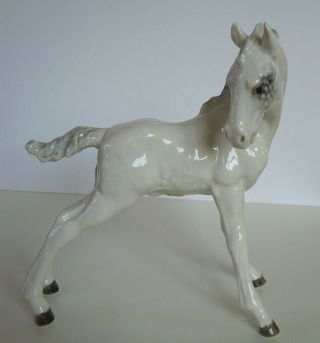 Hutschenreuther - Rosenthal Thoroughbred Foal Horse Porcelain Figurine Tutter