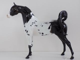Peter Stone Horse - Savage - Ooak - Black And White Appaloosa Arabian