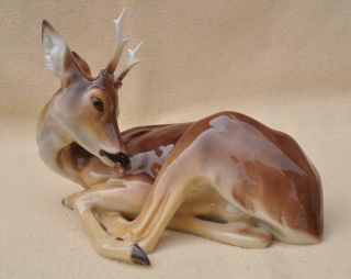 Immaculate Nymphenburg Porcelain " Young Male Deer / Stag " Figure 423