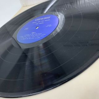 The Units / Jandek - Ready For The House Vinyl Record LP Press 6