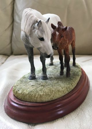 Border Fine Arts Connemara Mare & Foal - - Rare Breeds Series A5055
