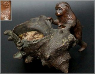 Bos129 Japanese Bronze Monkey & Turban Shell Ornament Signed Okimono Censor